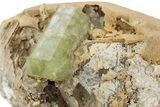 Lustrous Yellow-Green Apatite Crystals on Calcite - Morocco #376597-1